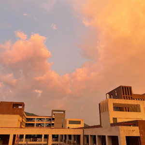 欧美六十路老妇
