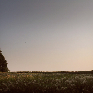 欧美六十路老妇
